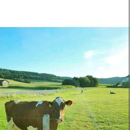 4 Erw. 1 Ki. Ski Entspannung Terasse Ausblick 施马伦贝格 外观 照片